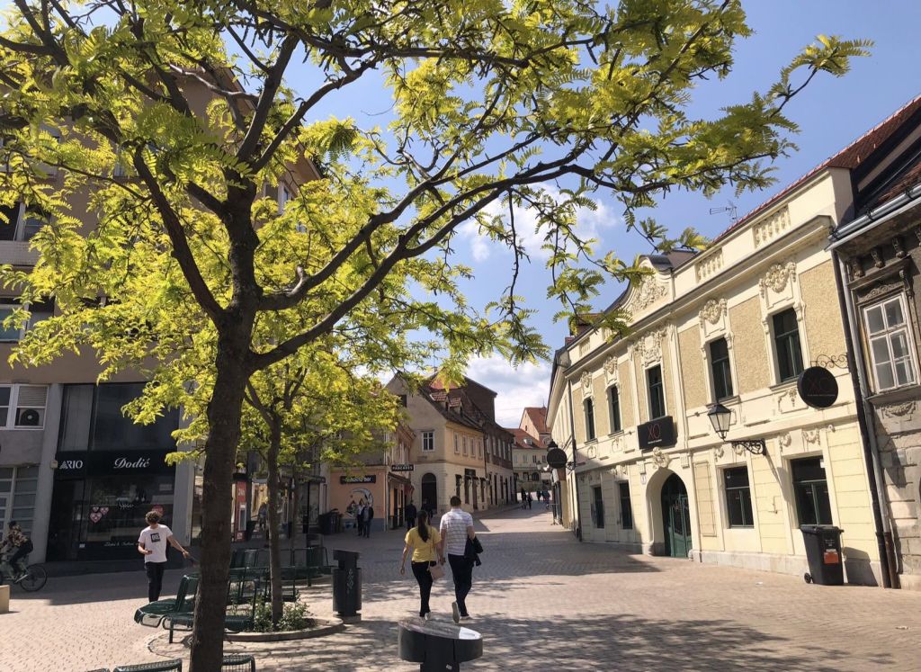 Stara Vlaška. Europski trg